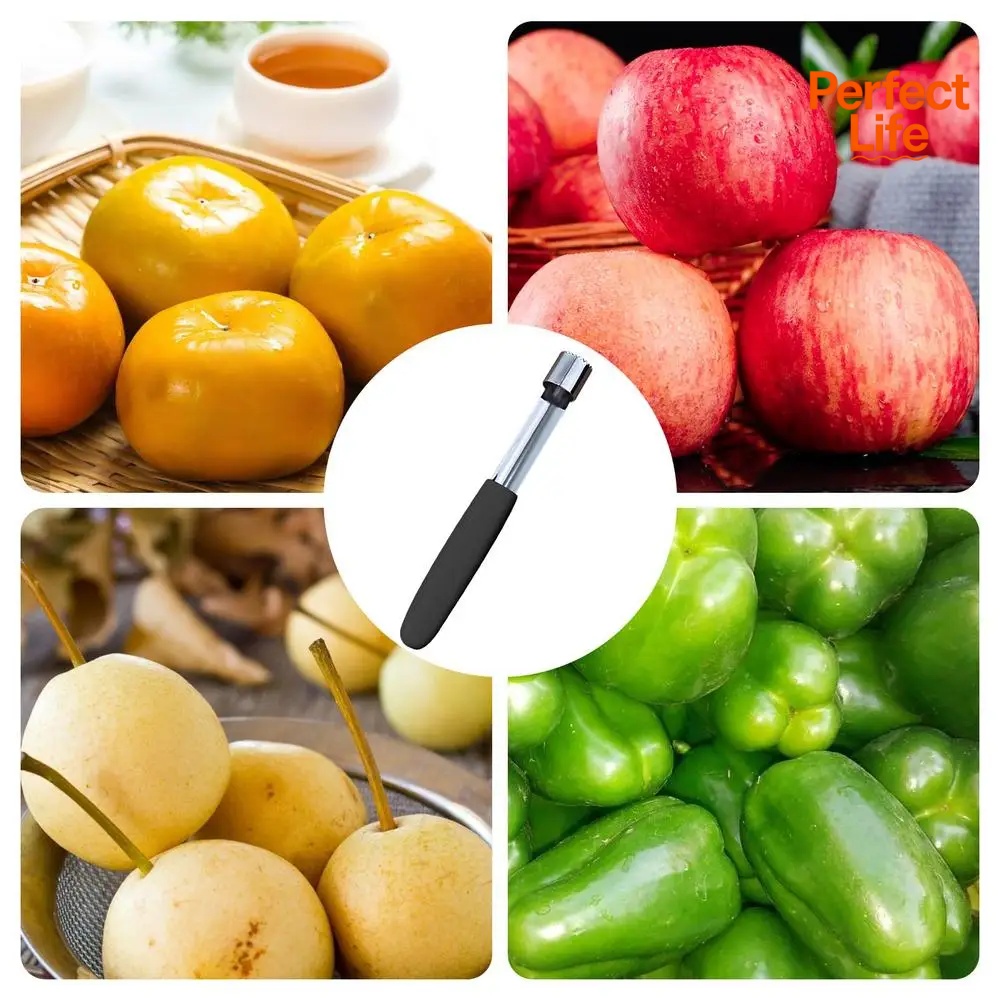 Apple Corer Pitter Pear Bell T - Apple Corer Slicer บทวิจารณ์และราคา